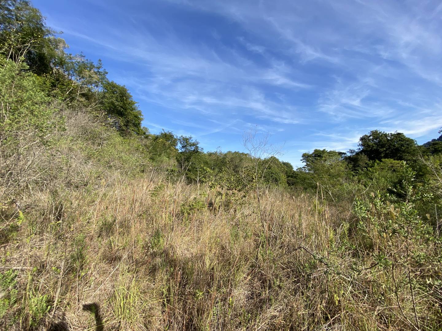 Terreno, 45 m² - Foto 25