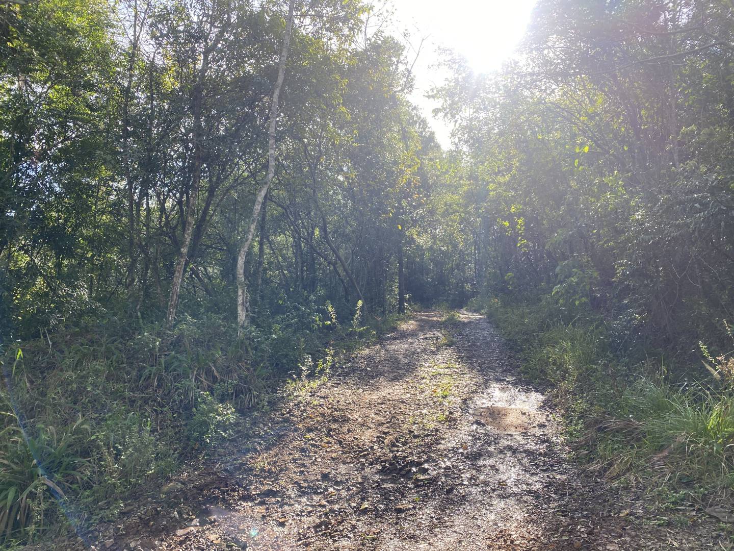 Terreno, 45 m² - Foto 27