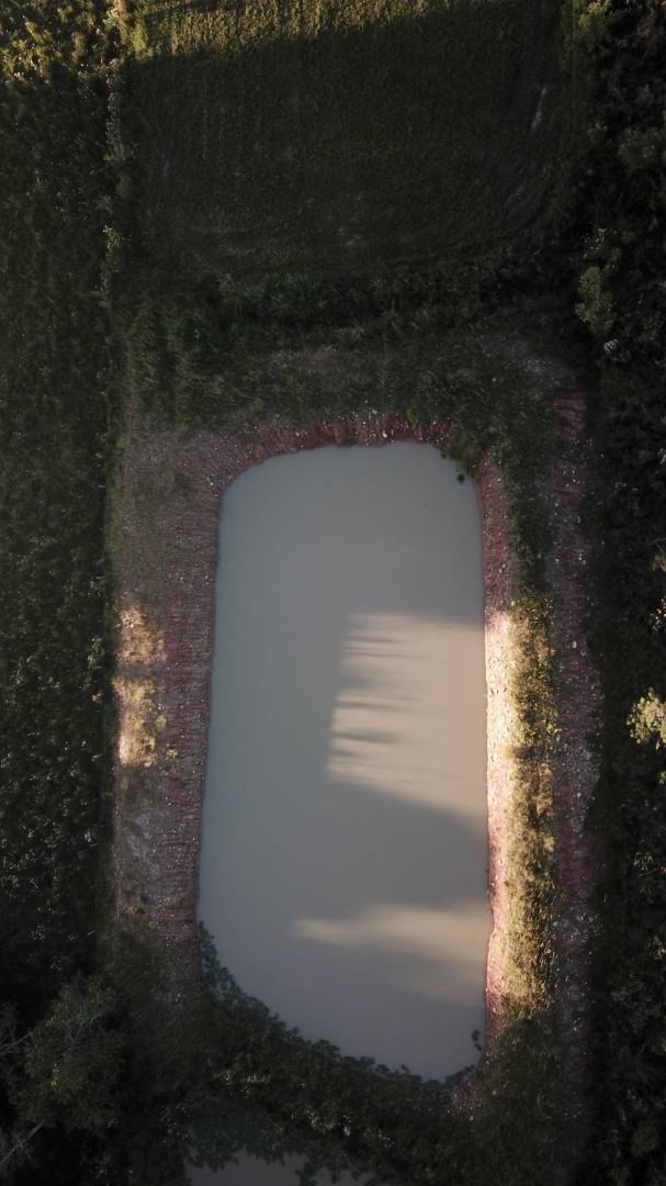 Terreno, 6466 m² - Foto 5