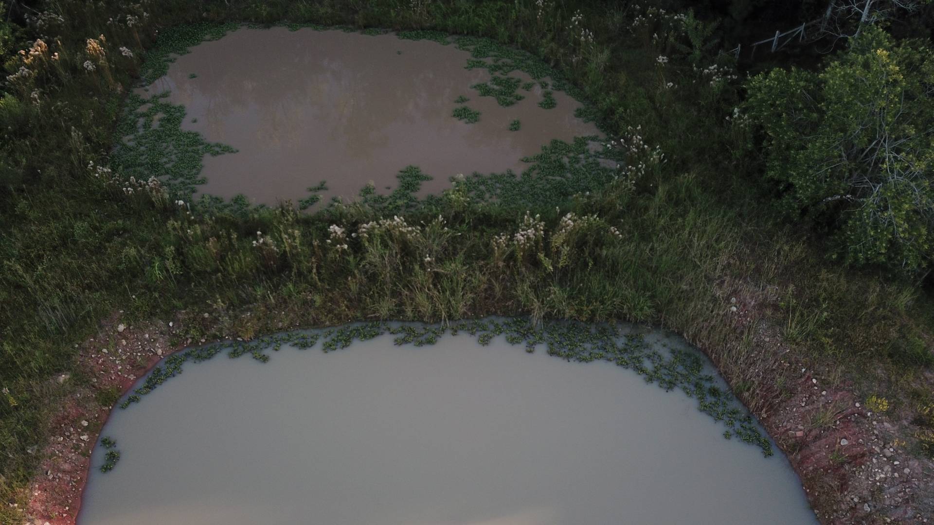 Terreno, 6466 m² - Foto 6