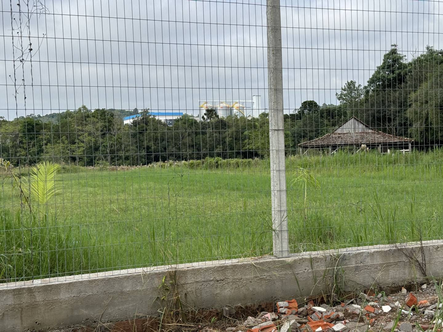 Terreno, 6466 m² - Foto 3