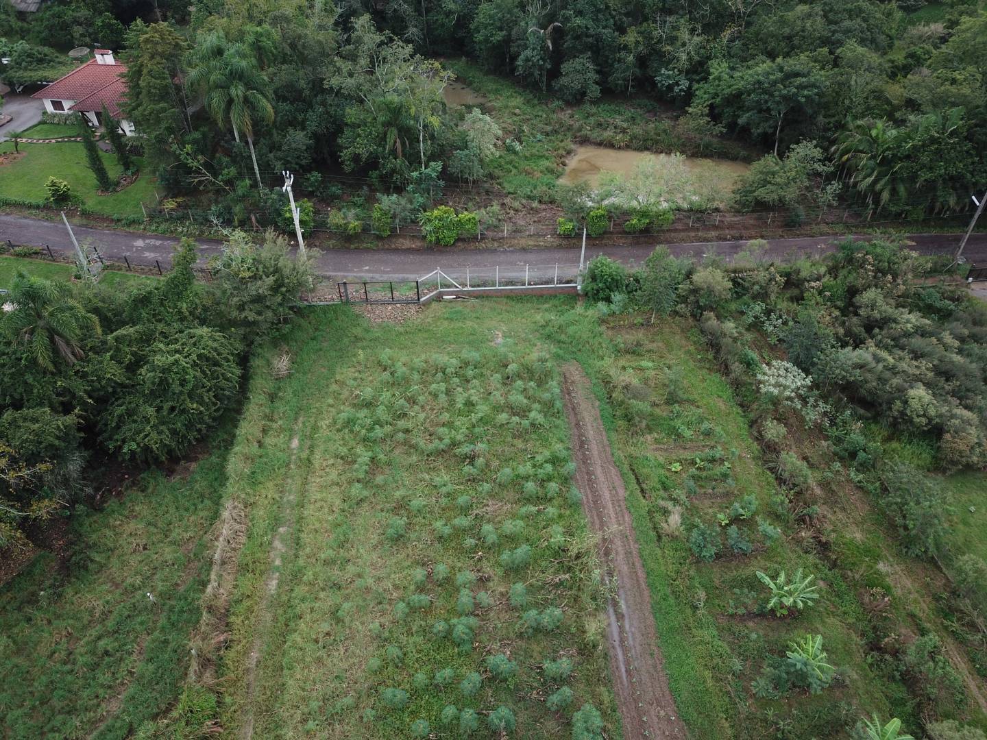 Terreno, 6466 m² - Foto 2