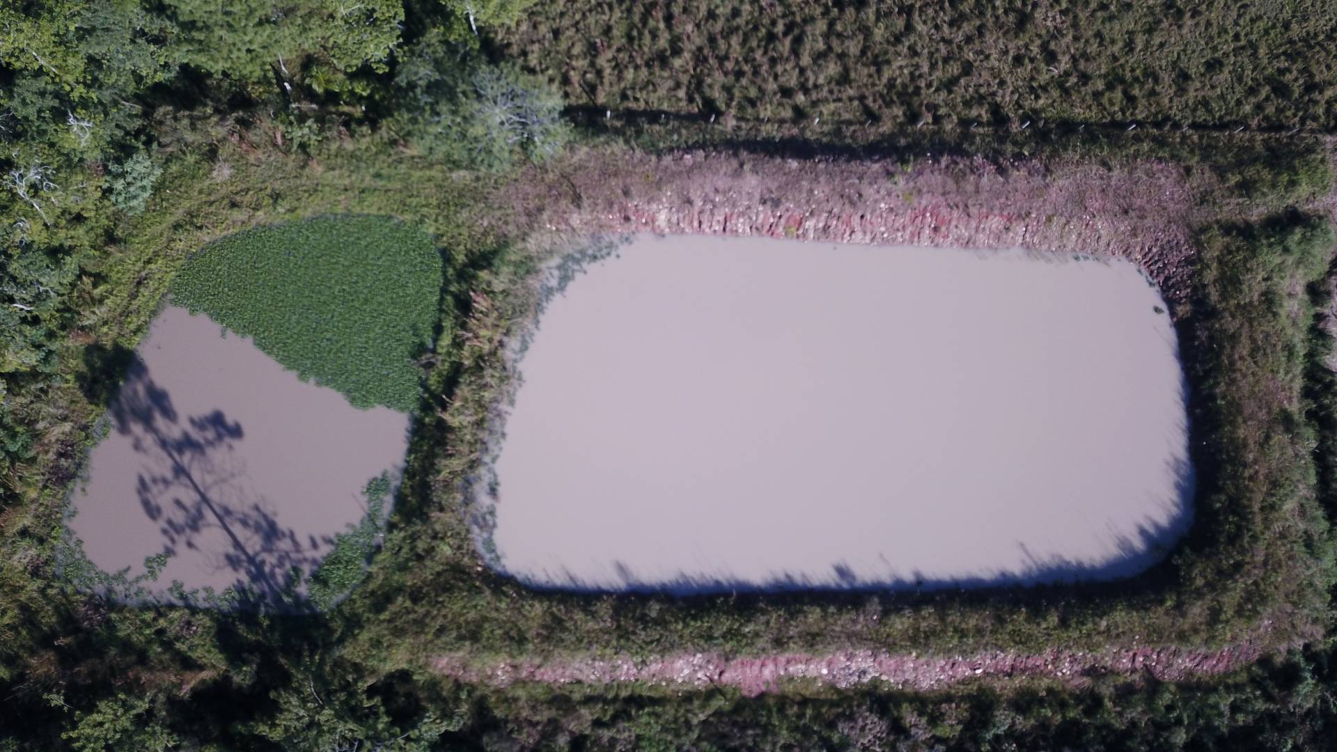 Terreno, 6466 m² - Foto 9