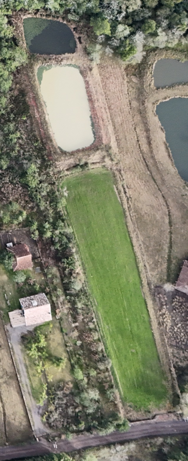 Terreno, 6466 m² - Foto 4