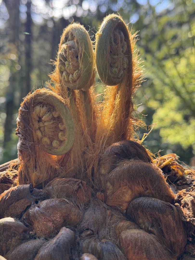 Terreno, 2 m² - Foto 8