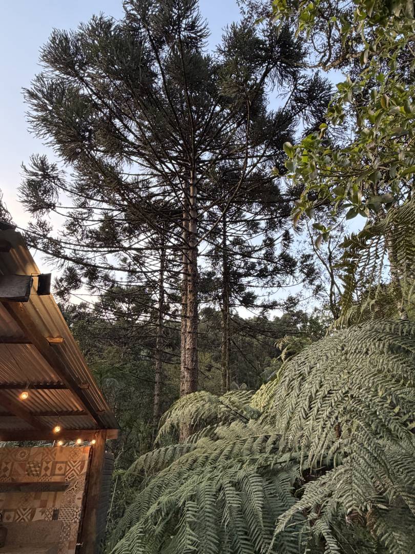 Terreno, 2 m² - Foto 9