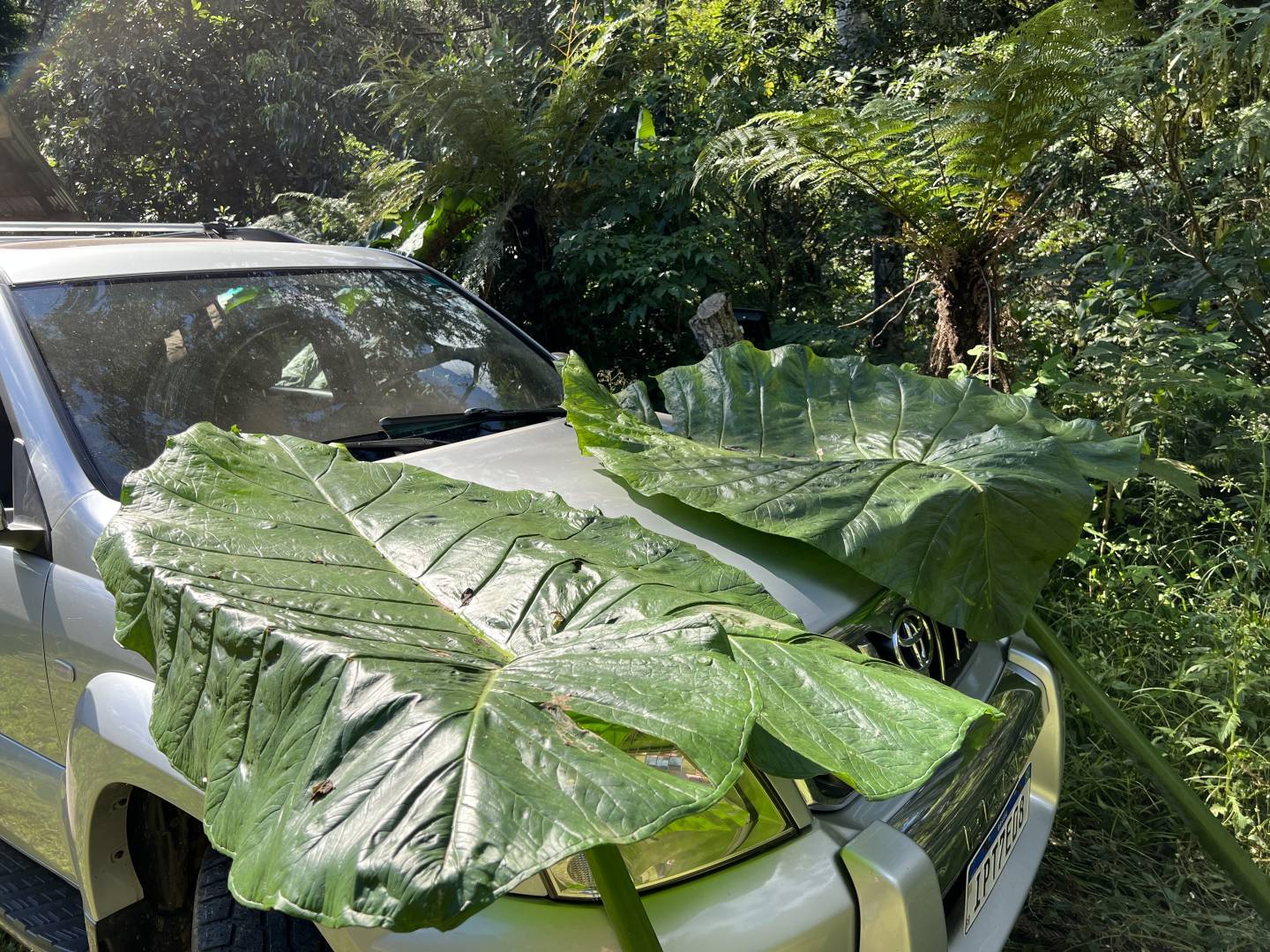 Terreno, 2 m² - Foto 10