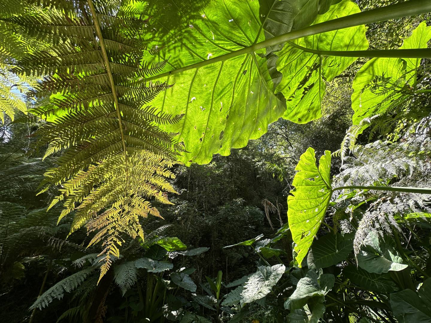 Terreno, 2 m² - Foto 17