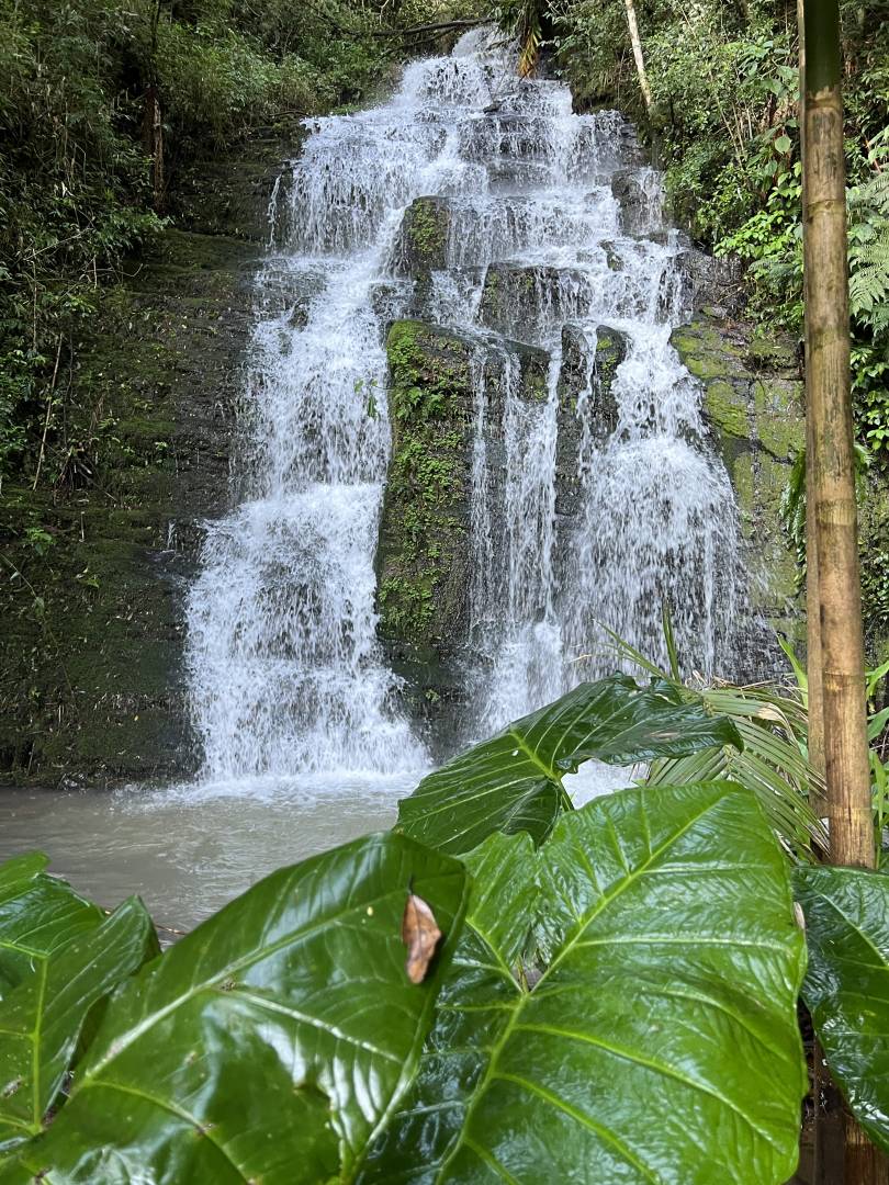 Terreno, 2 m² - Foto 5