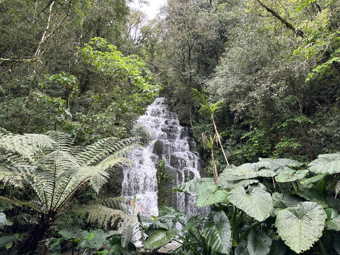 Terreno, 2 m² - Foto 18