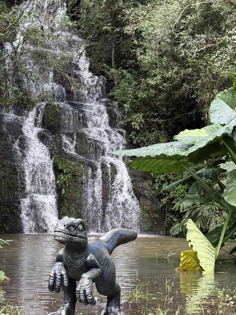 Terreno, 2 m² - Foto 6