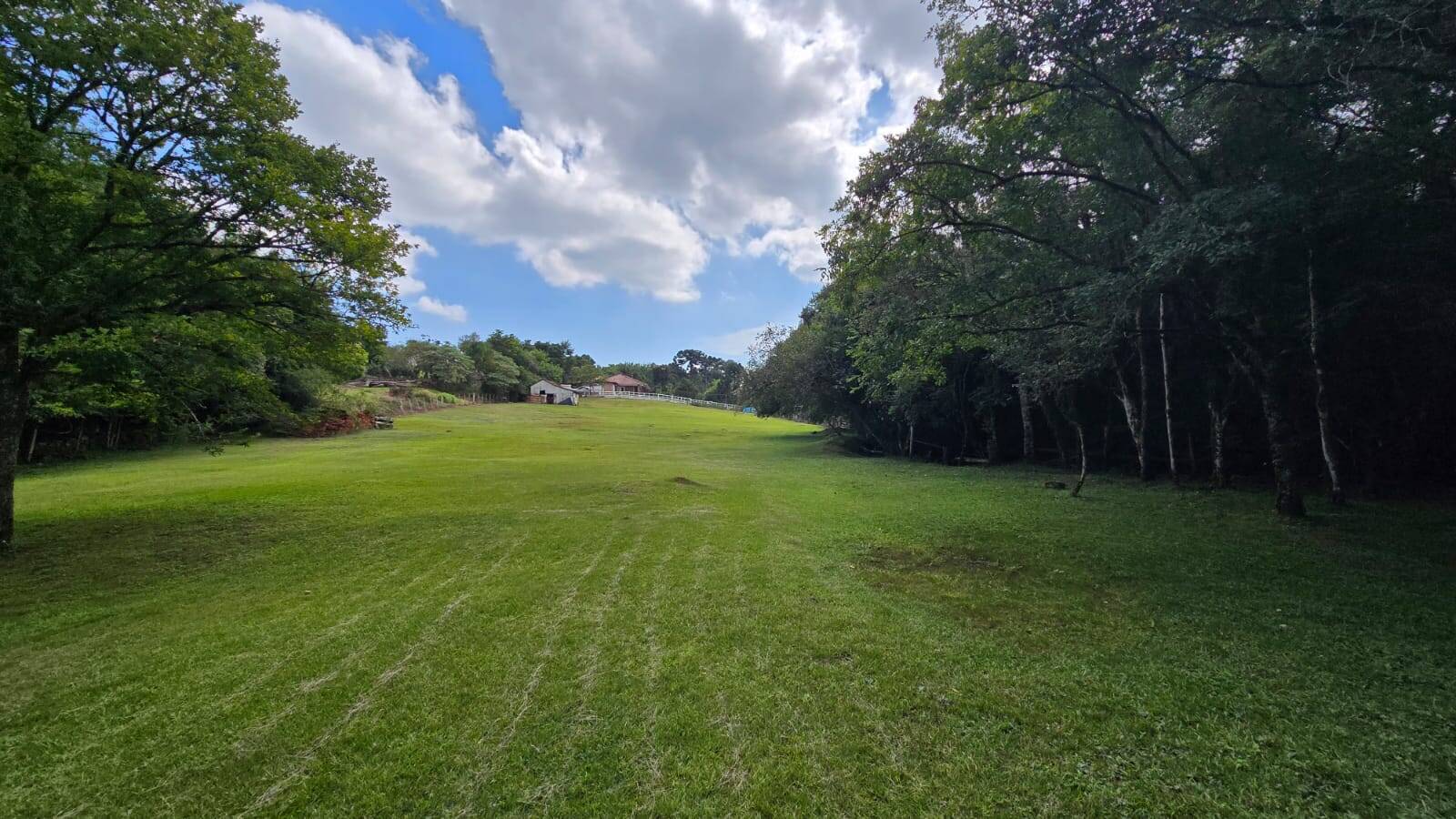 Sítio, 3 quartos, 172 m² - Foto 11