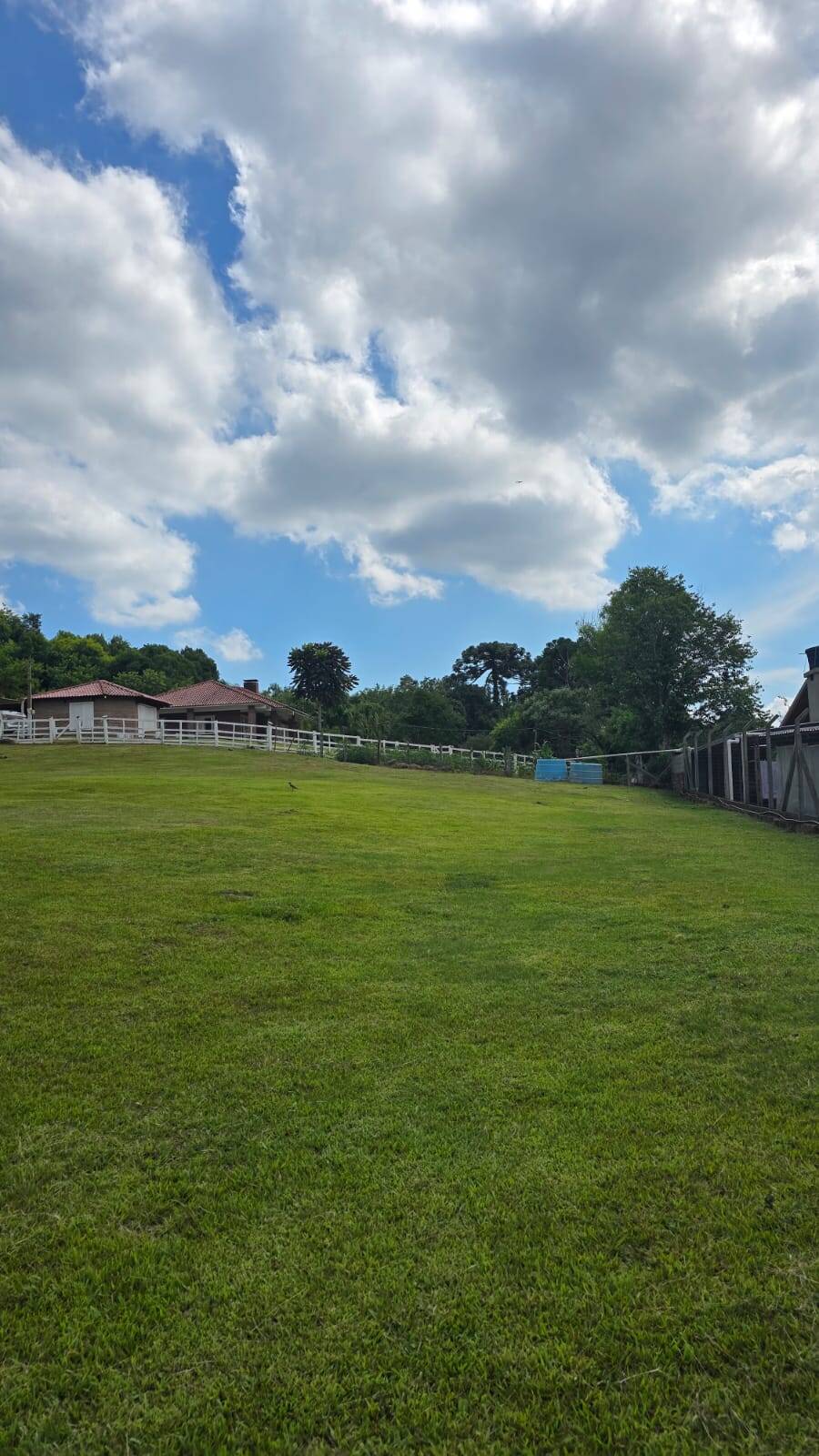 Sítio, 3 quartos, 172 m² - Foto 9