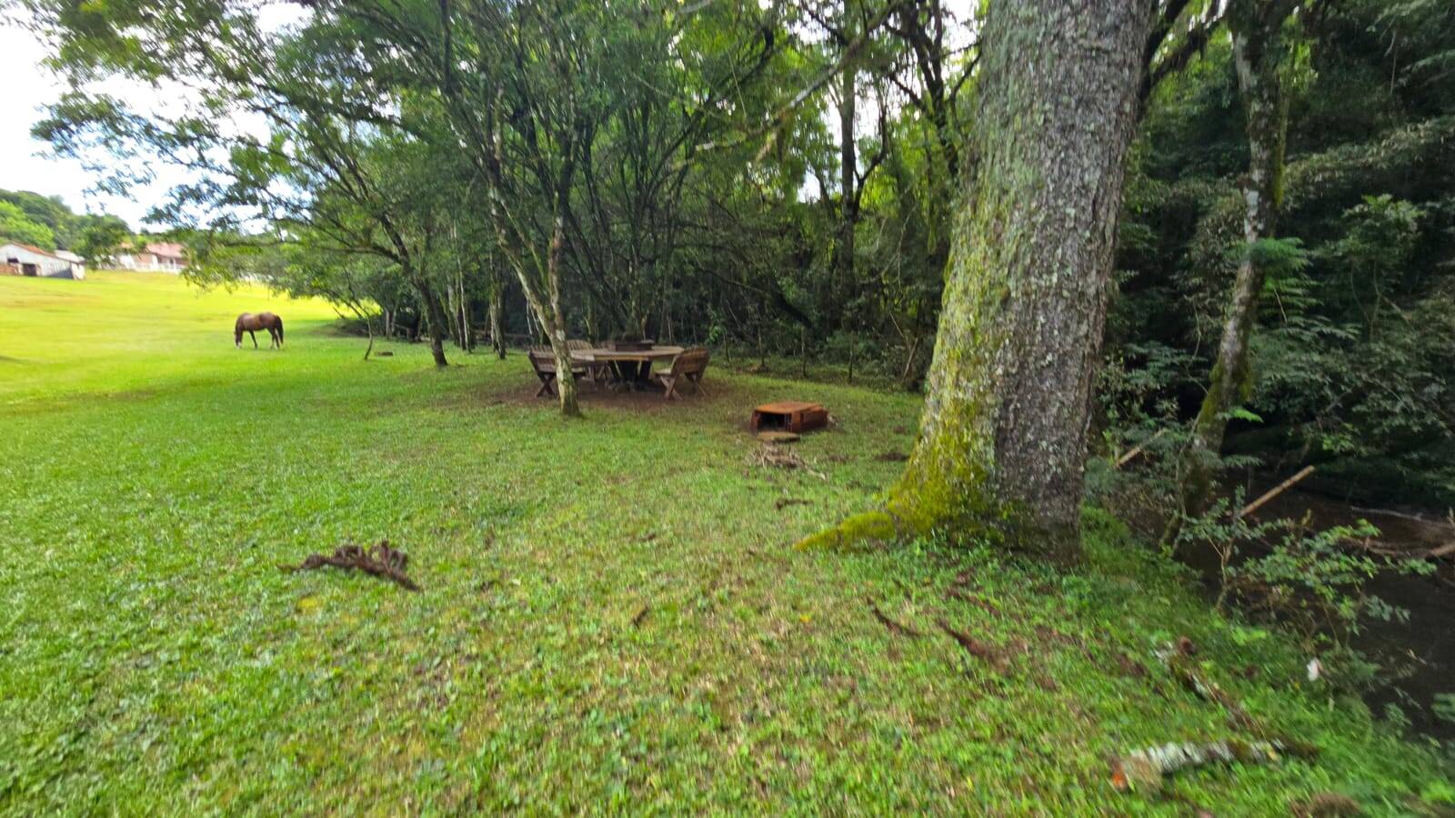 Sítio, 3 quartos, 172 m² - Foto 13