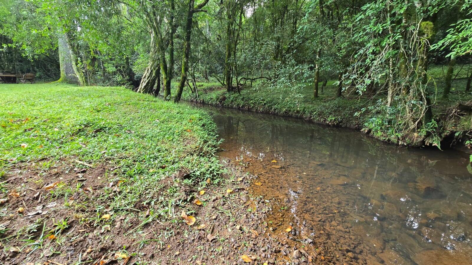 Sítio, 3 quartos, 172 m² - Foto 16