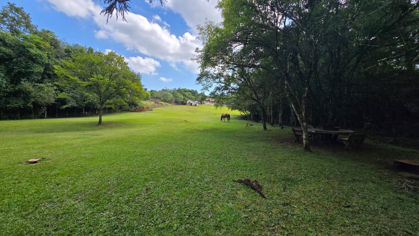 Sítio, 3 quartos, 172 m² - Foto 14