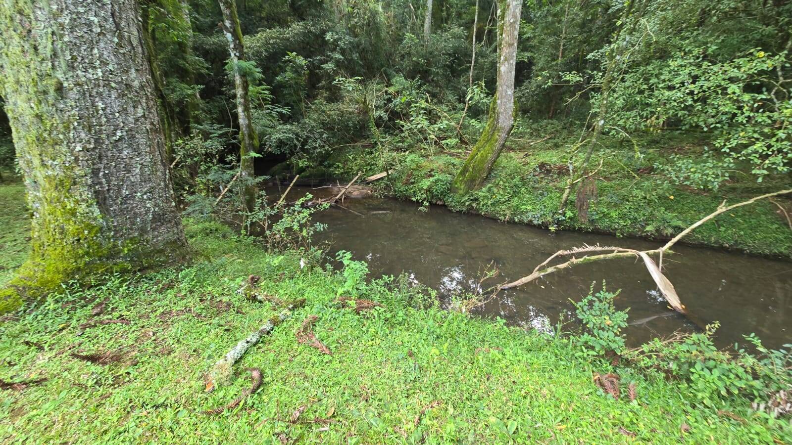 Sítio, 3 quartos, 172 m² - Foto 15