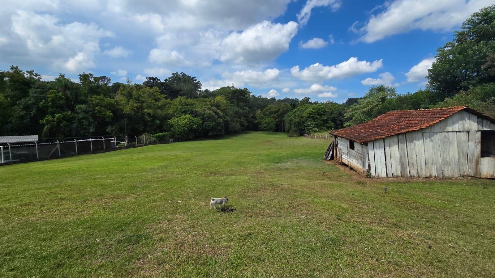 Sítio, 3 quartos, 172 m² - Foto 12