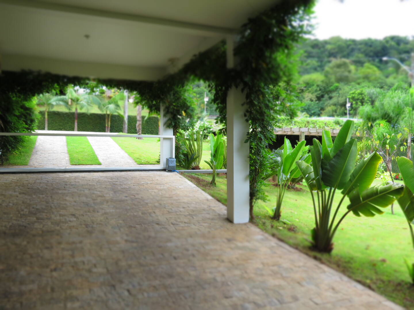 Casa, 3 quartos - Foto 45