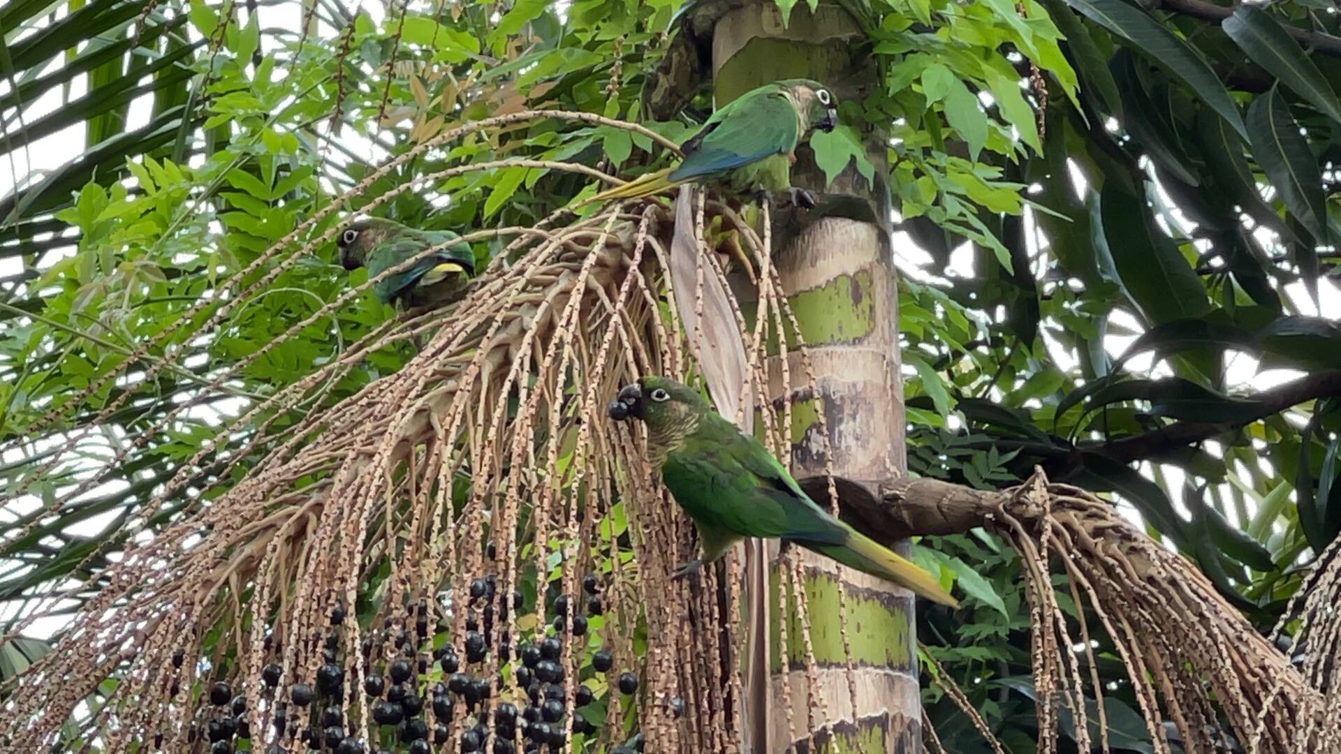 Casa, 3 quartos - Foto 43