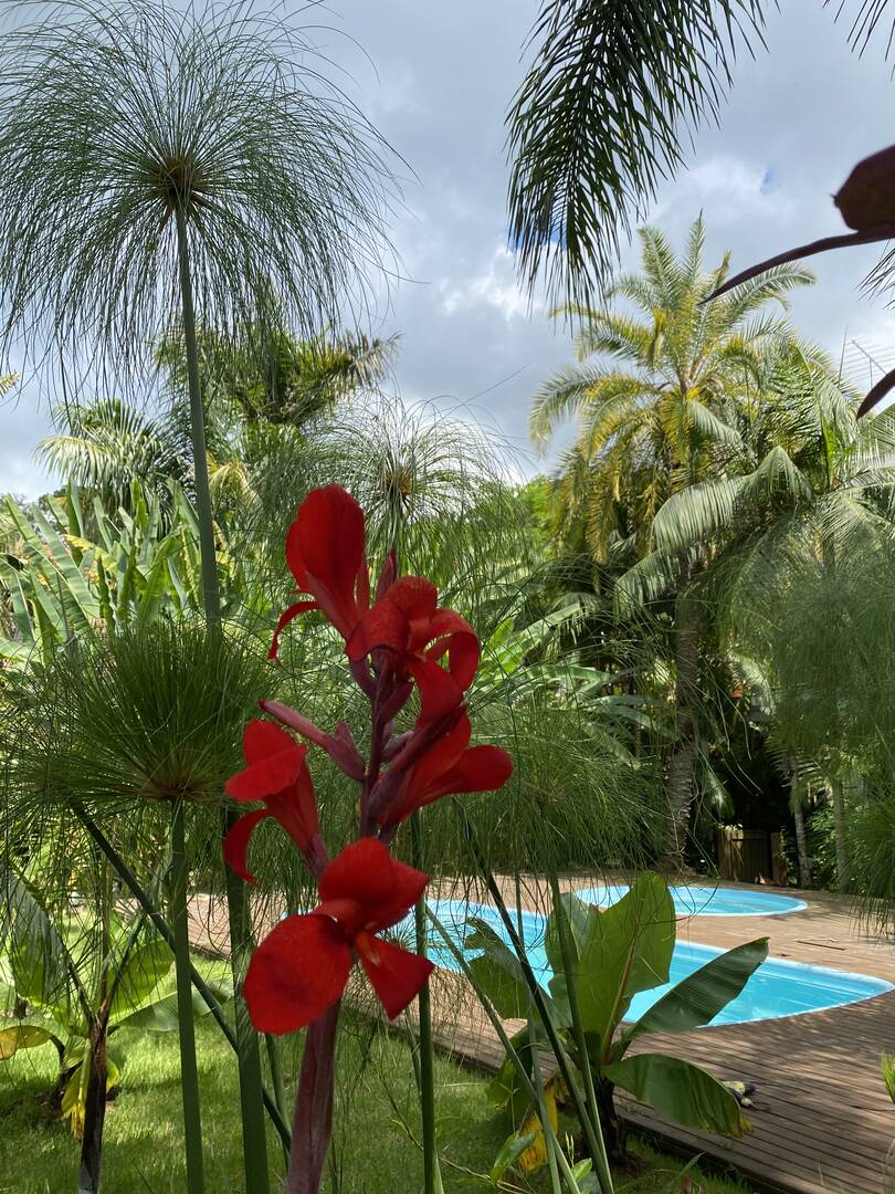 Casa, 3 quartos - Foto 47