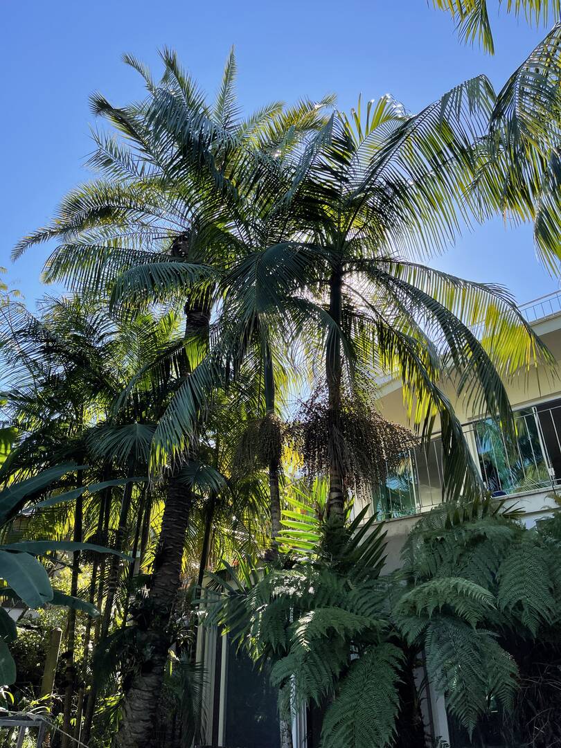 Casa, 3 quartos - Foto 51