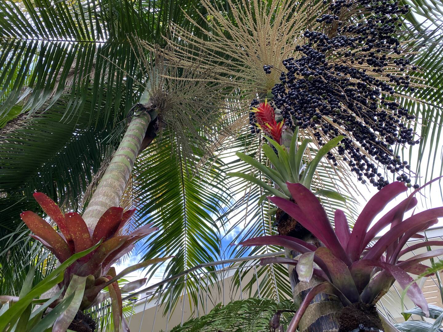 Casa, 3 quartos - Foto 55