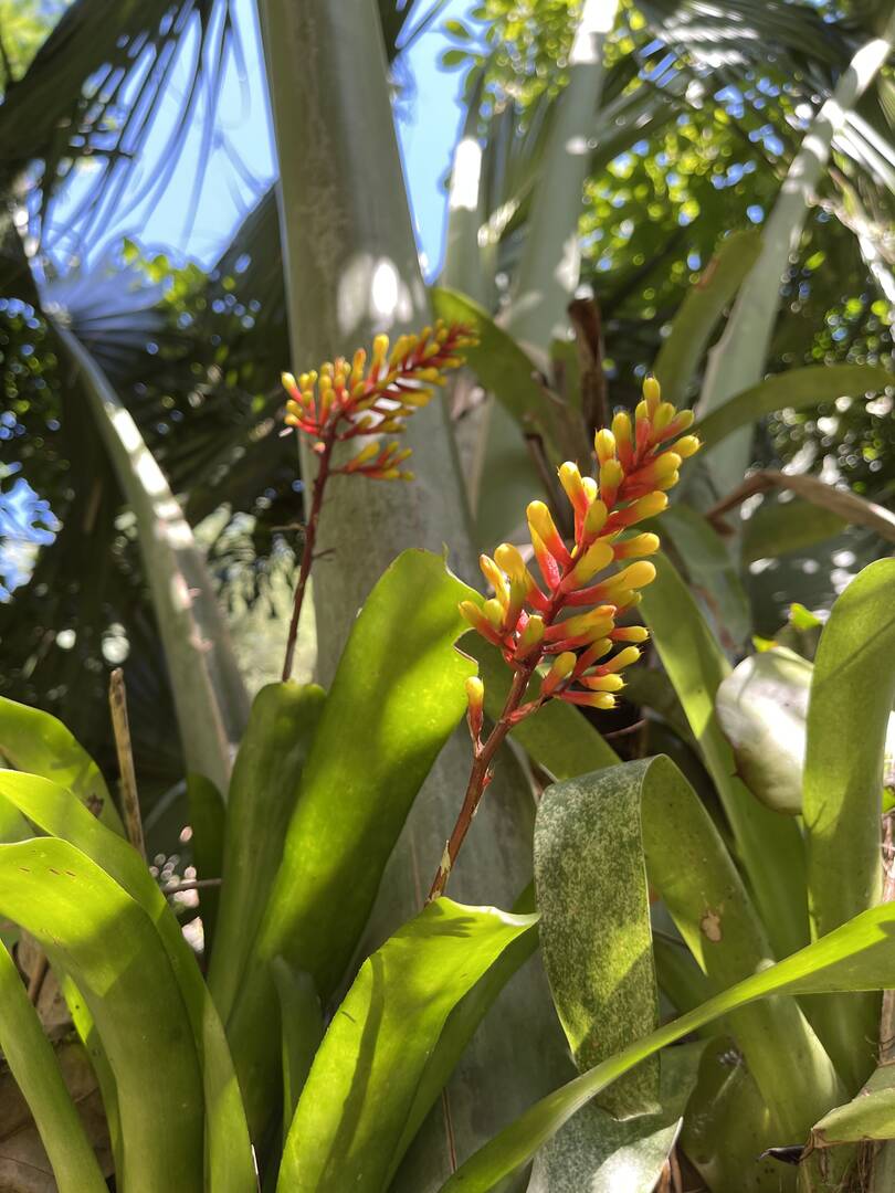 Casa, 3 quartos - Foto 57