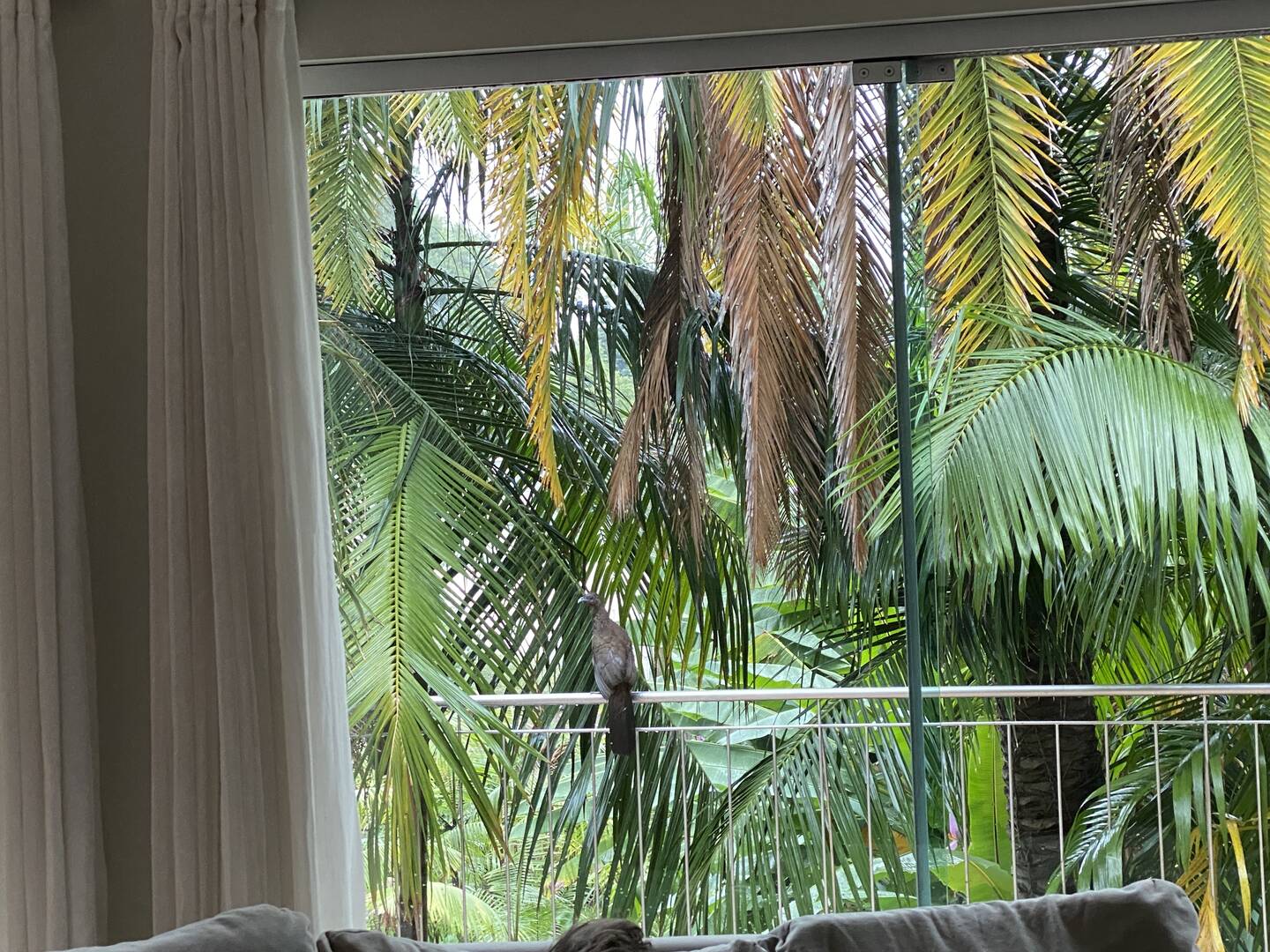 Casa, 3 quartos - Foto 63