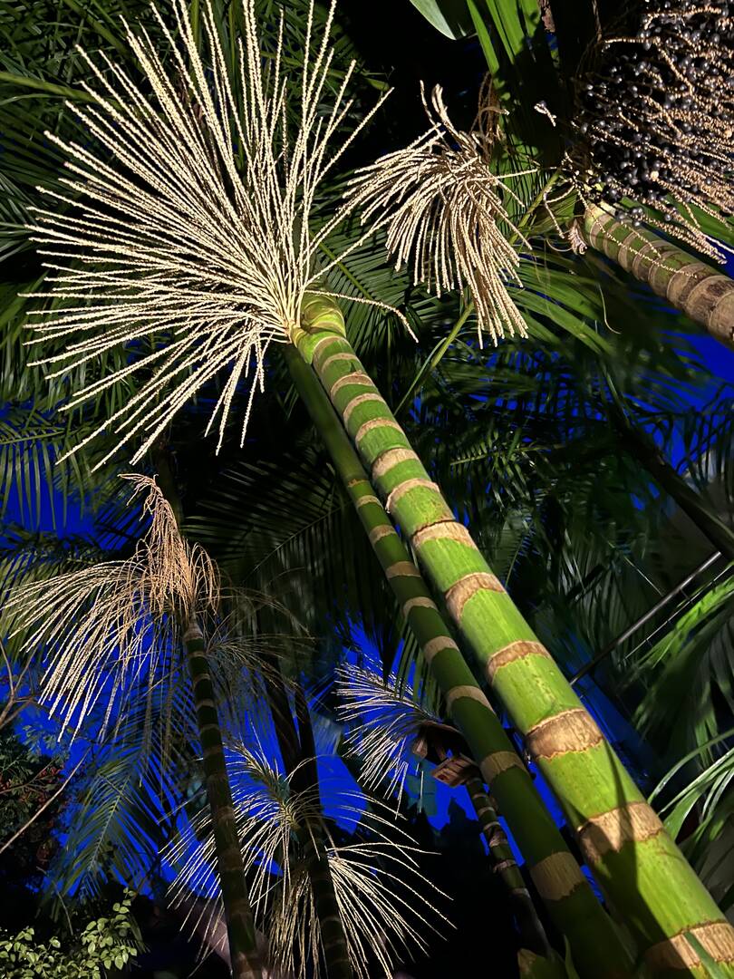 Casa, 3 quartos - Foto 67