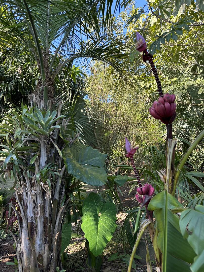 Casa, 3 quartos - Foto 69