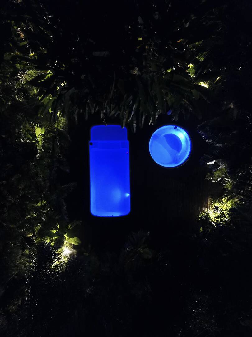 Casa, 3 quartos - Foto 81