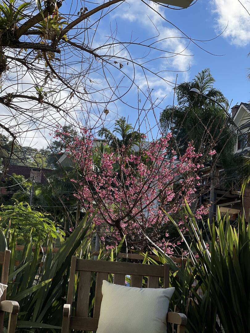 Casa, 3 quartos - Foto 84