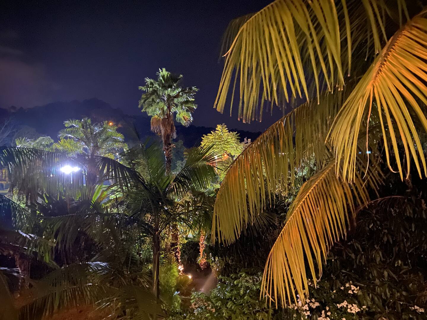 Casa, 3 quartos - Foto 85