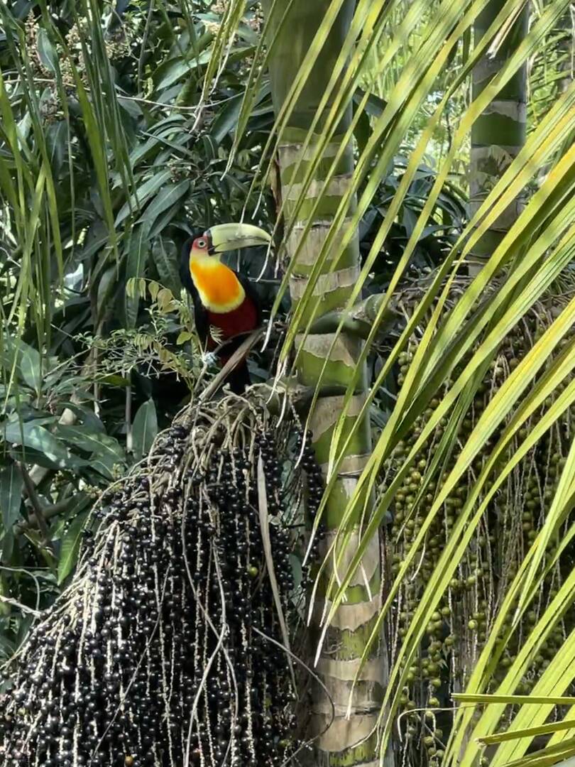 Casa, 3 quartos - Foto 87