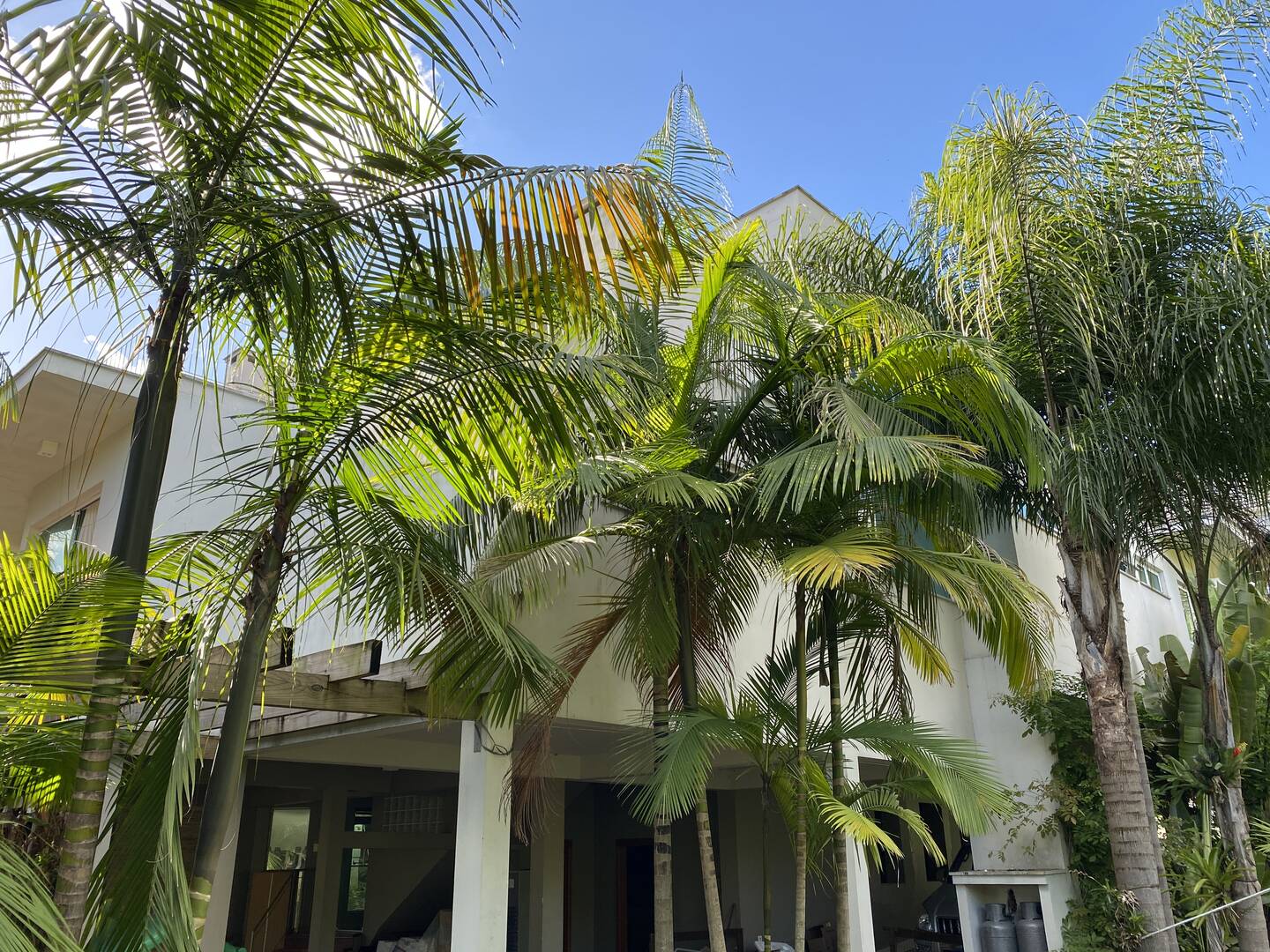 Casa, 3 quartos - Foto 91