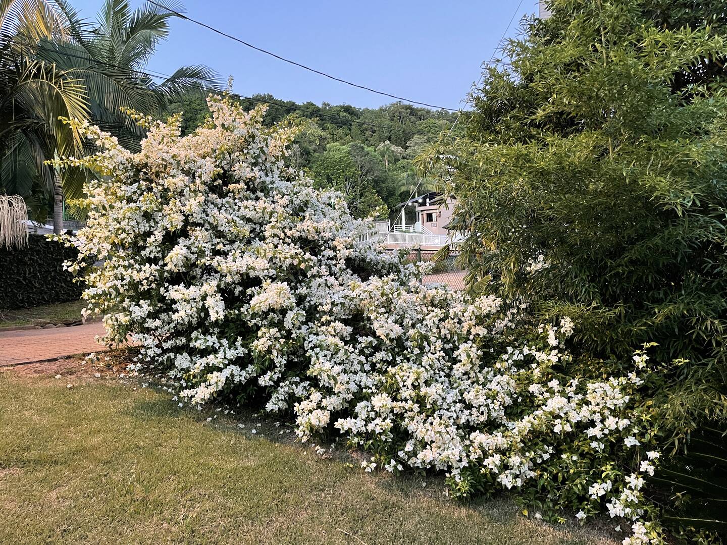 Casa, 3 quartos - Foto 93