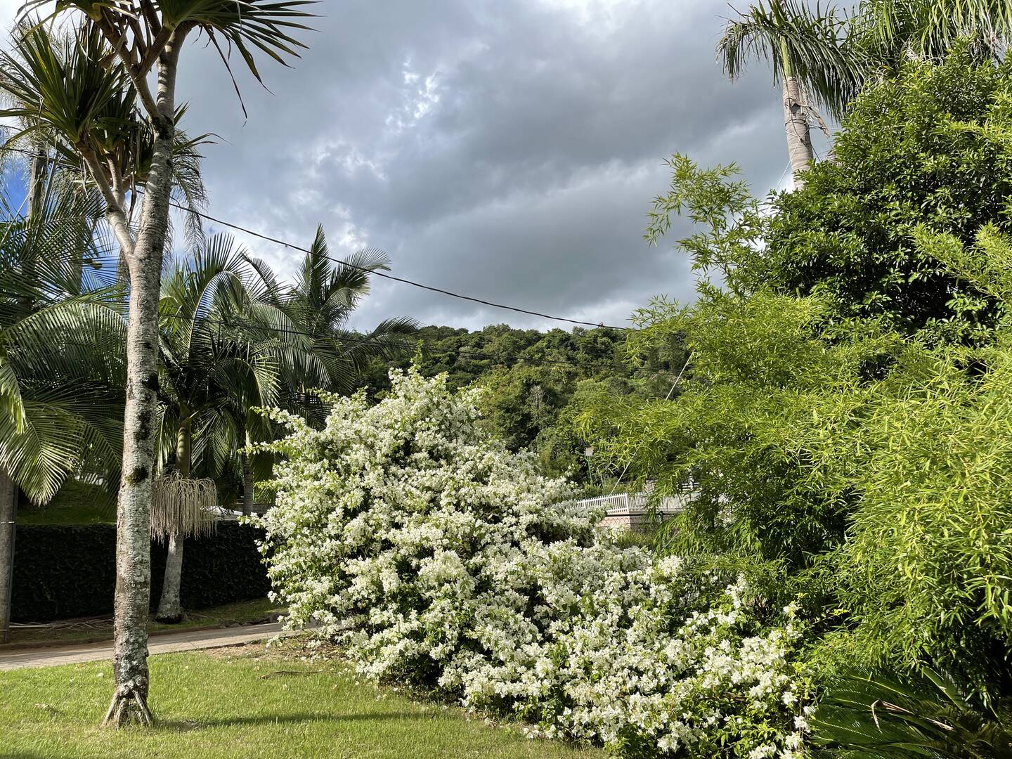 Casa, 3 quartos - Foto 94