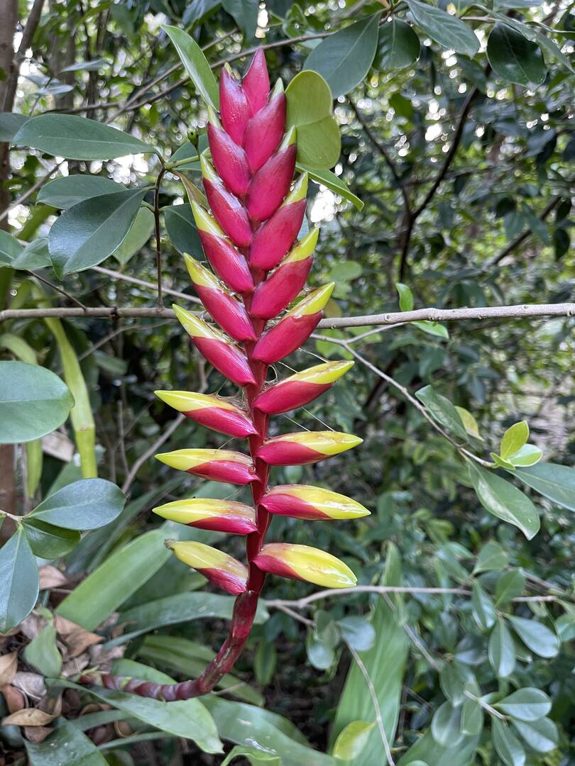 Casa, 3 quartos - Foto 96