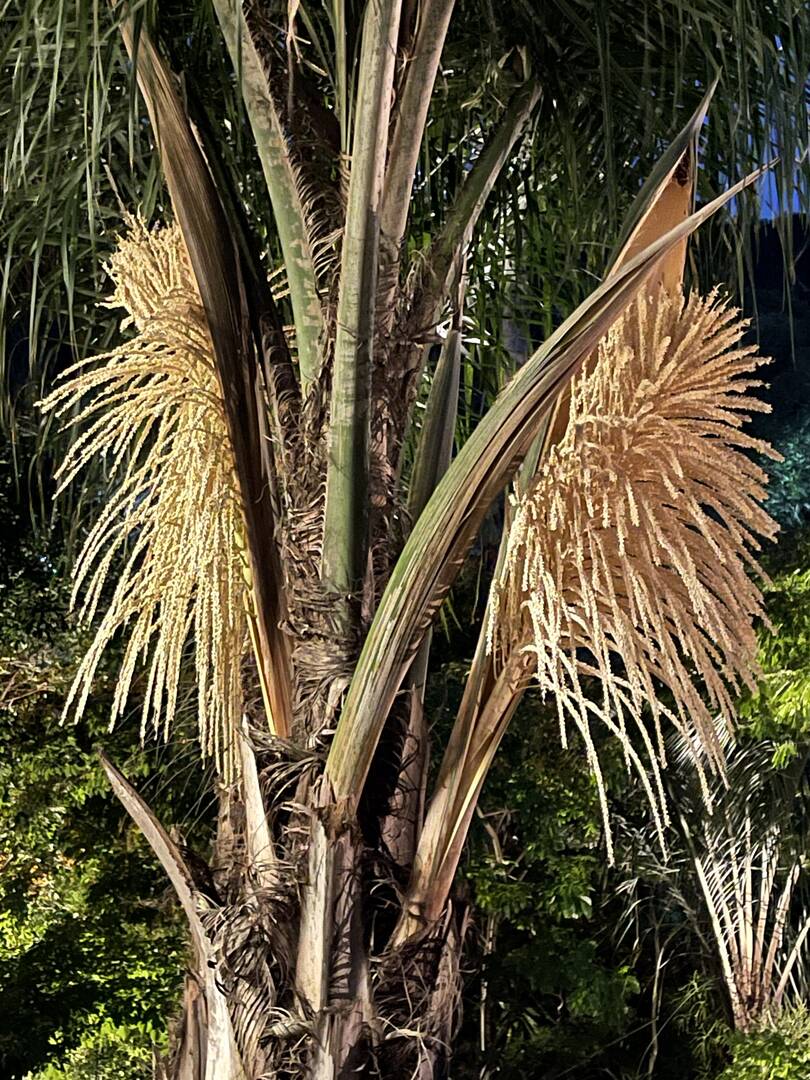 Casa, 3 quartos - Foto 109