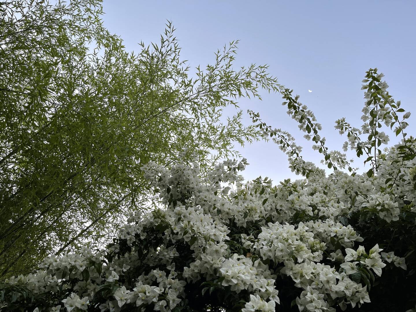 Casa, 3 quartos - Foto 110