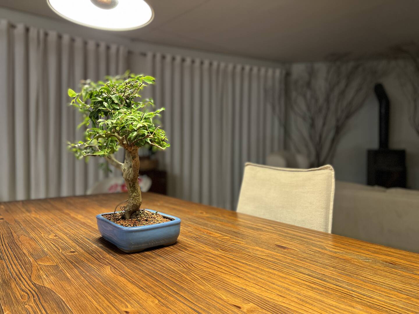 Casa, 3 quartos - Foto 48