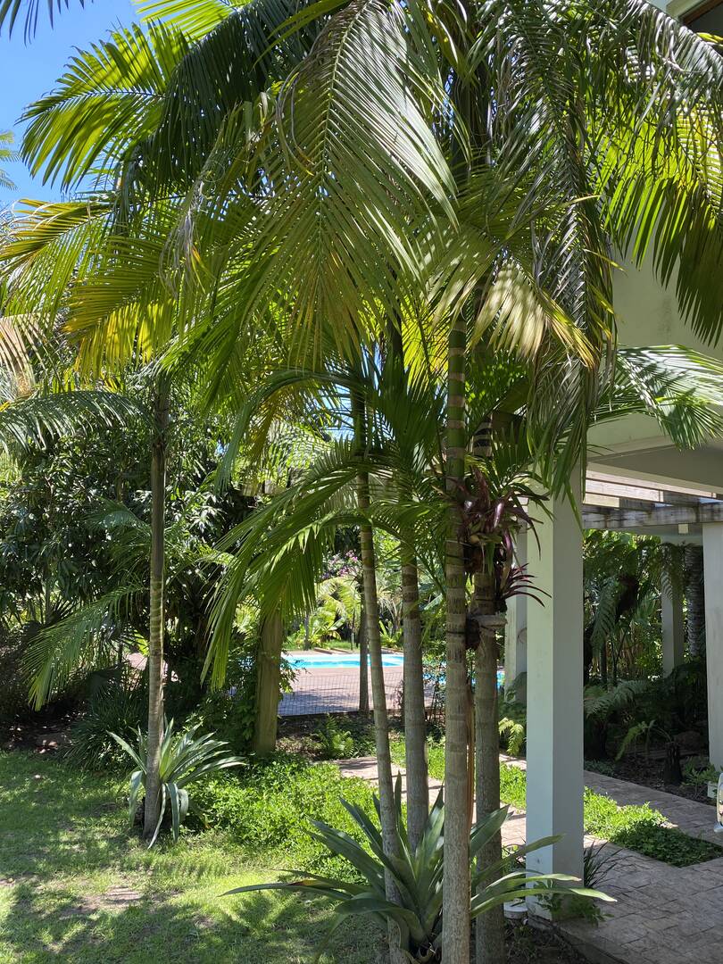 Casa, 3 quartos - Foto 62