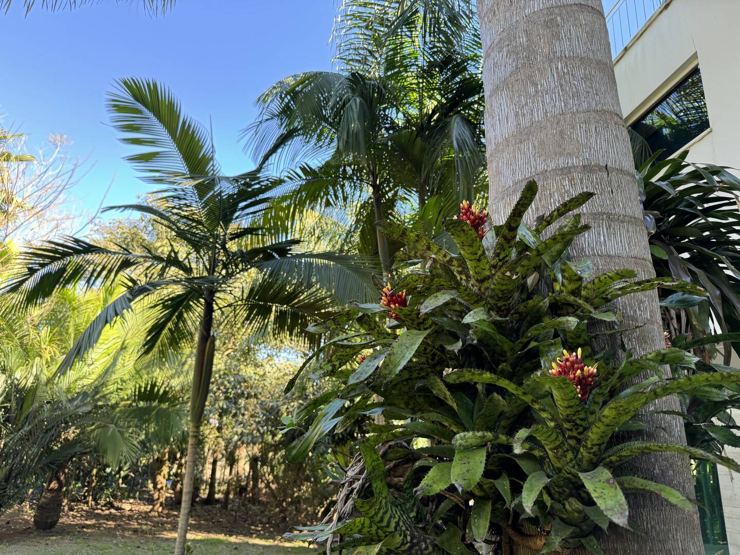 Casa, 3 quartos - Foto 66