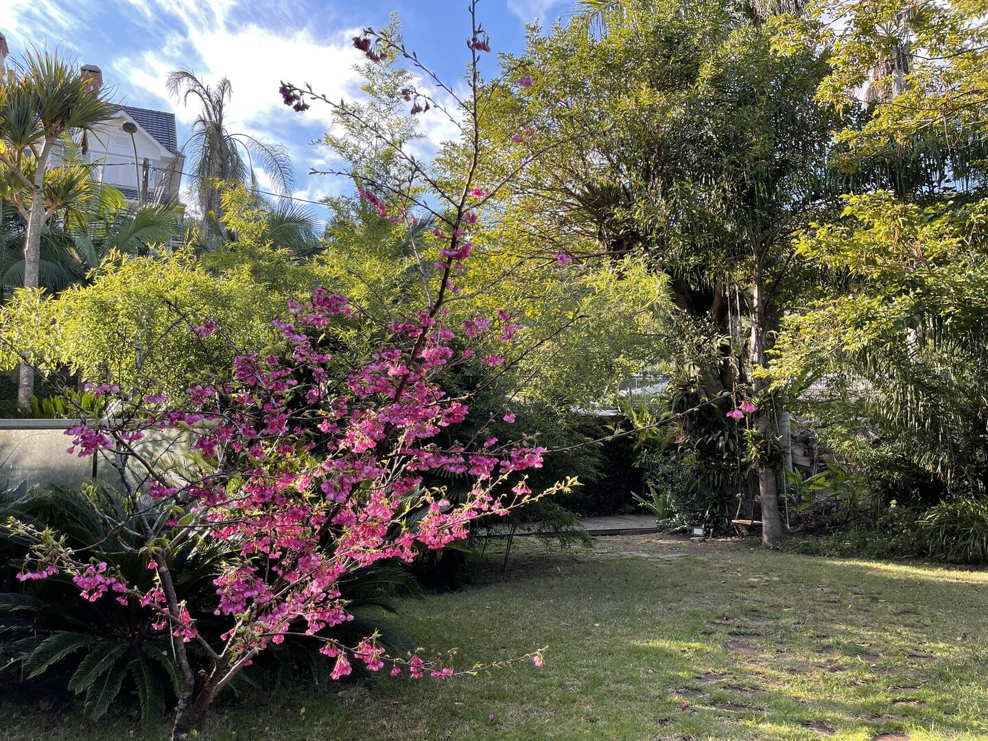 Casa, 3 quartos - Foto 68