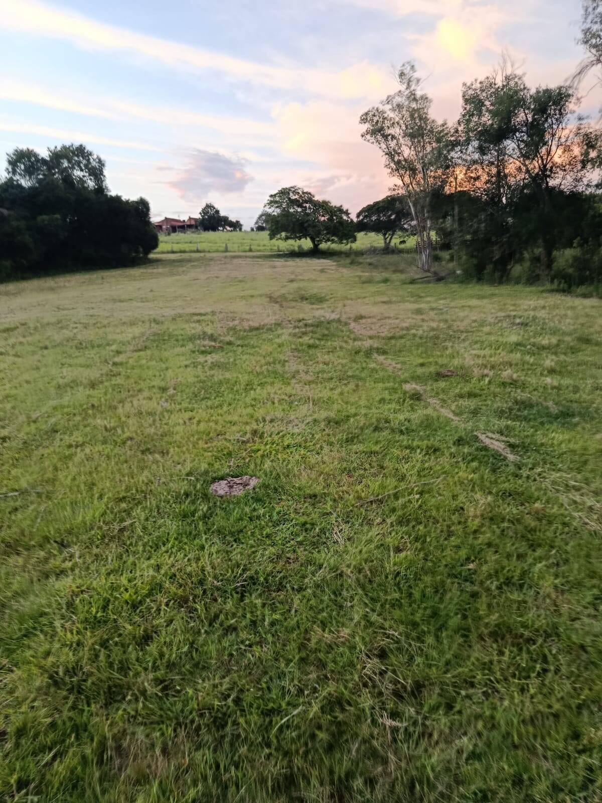Terreno, 7 hectares - Foto 3