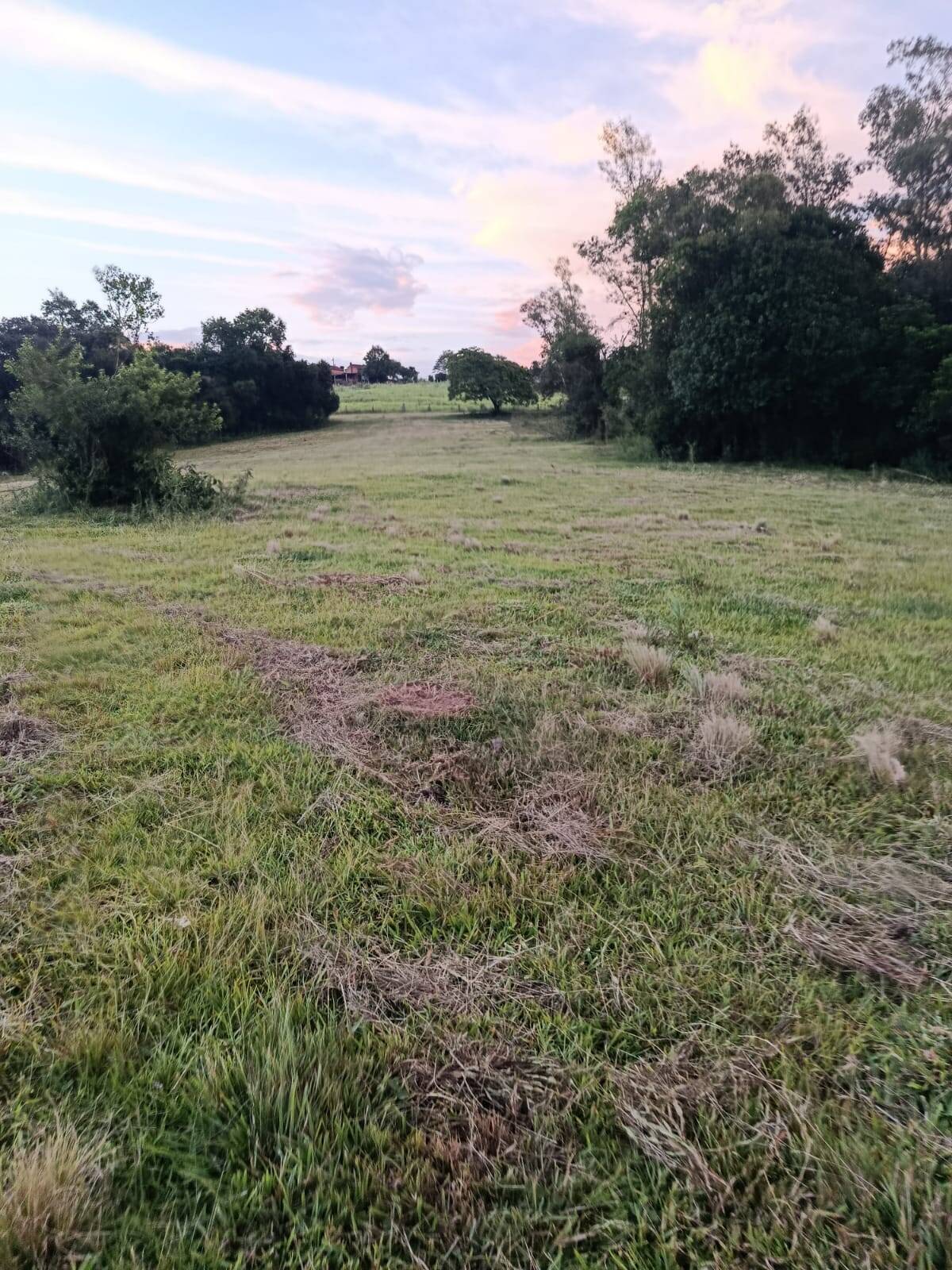 Terreno, 7 hectares - Foto 4