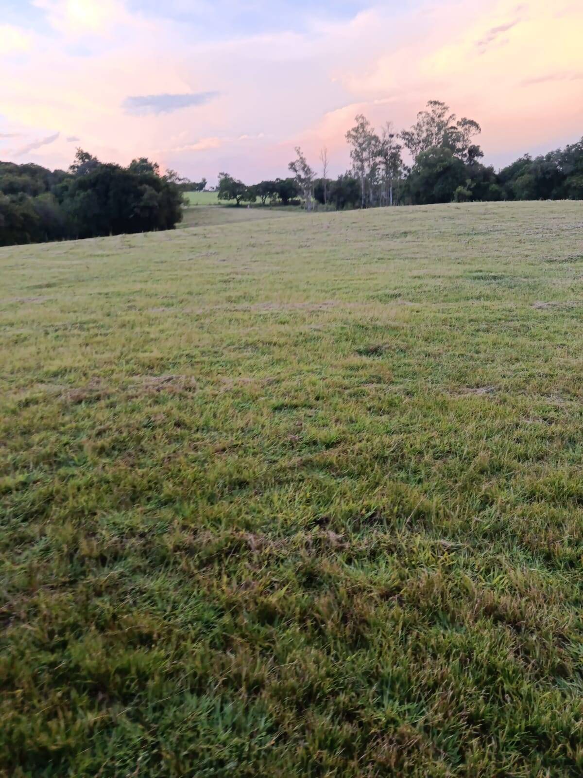 Terreno, 7 hectares - Foto 7