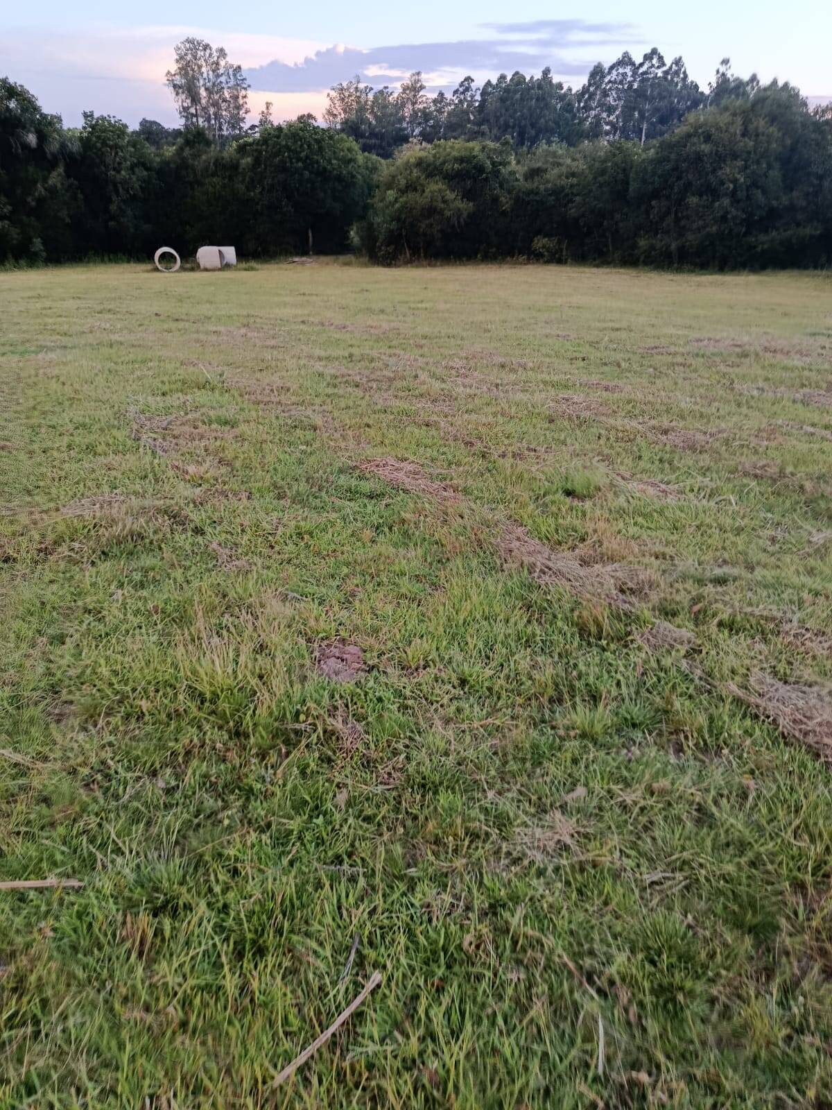 Terreno, 7 hectares - Foto 10
