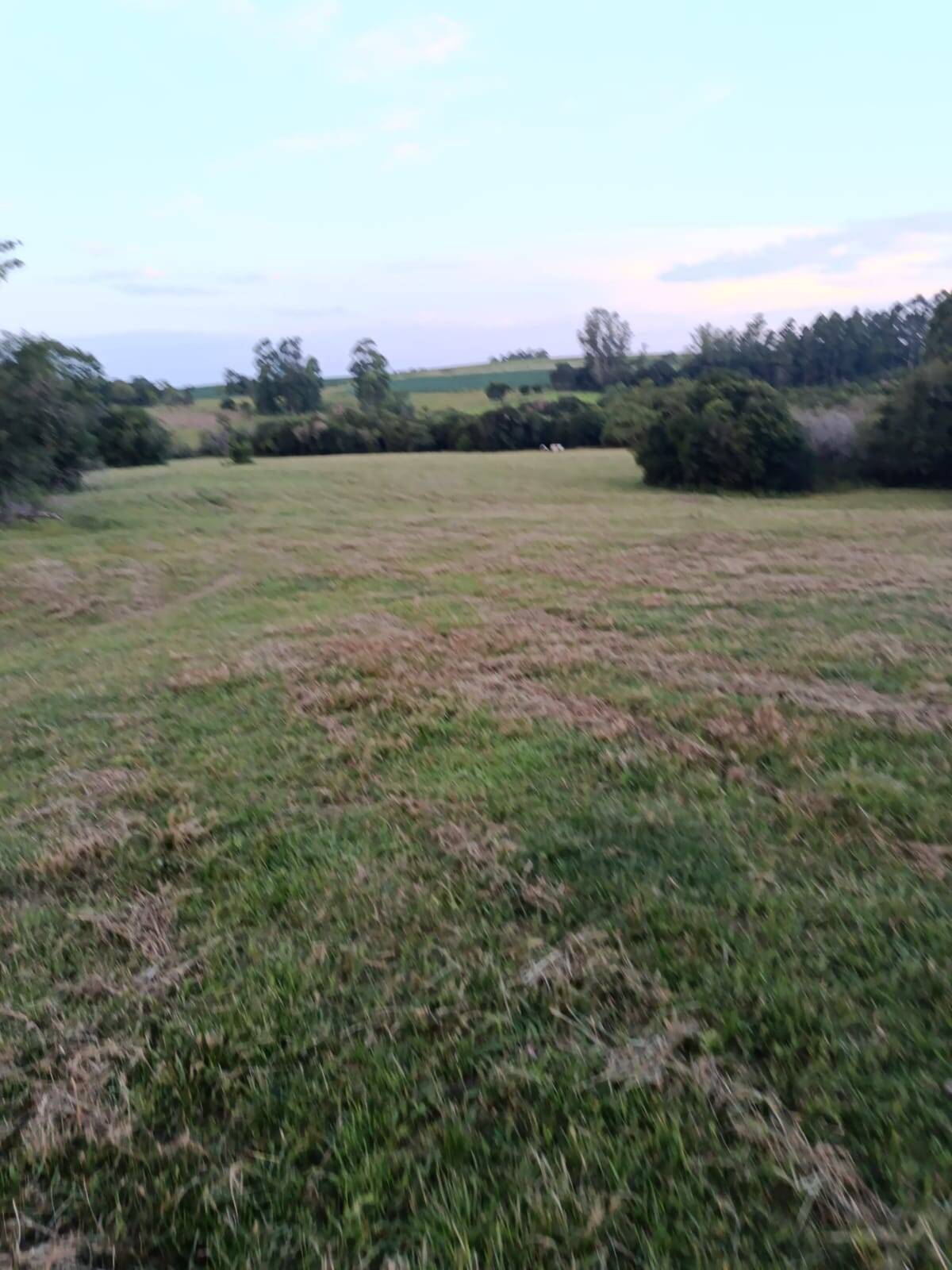 Terreno, 7 hectares - Foto 12
